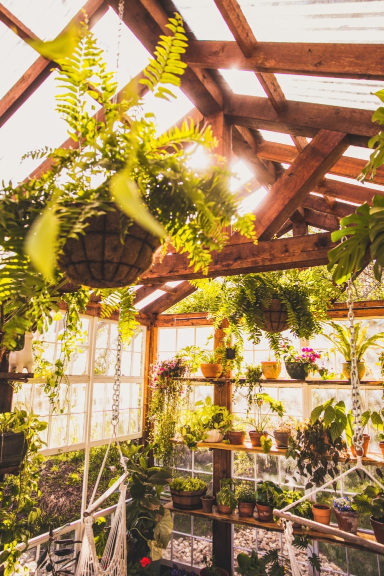 Spring at the Greenhouse 2020 Micro, Small, Intimate, Tiny Wedding Venue Virginia