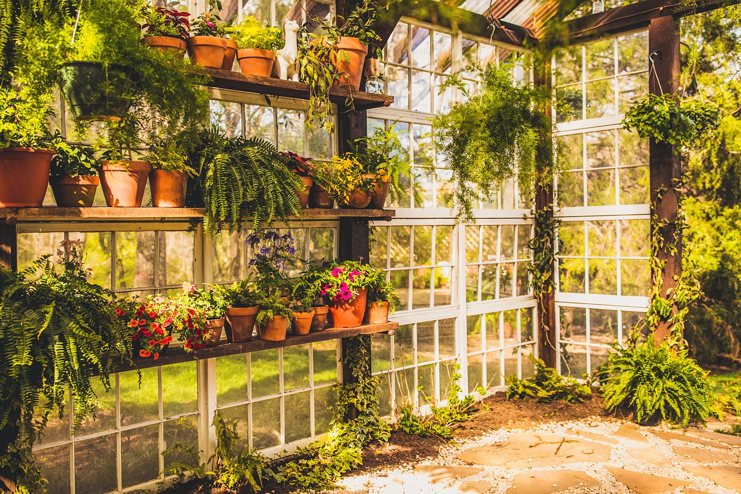 Spring at the Greenhouse | 2022 | Microwedding Venue | Virginia | Micro ...