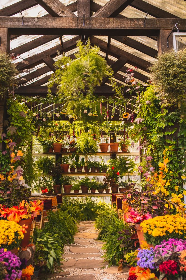 Fall Wedding Small Greenhouse Venue Lynchburg, VA