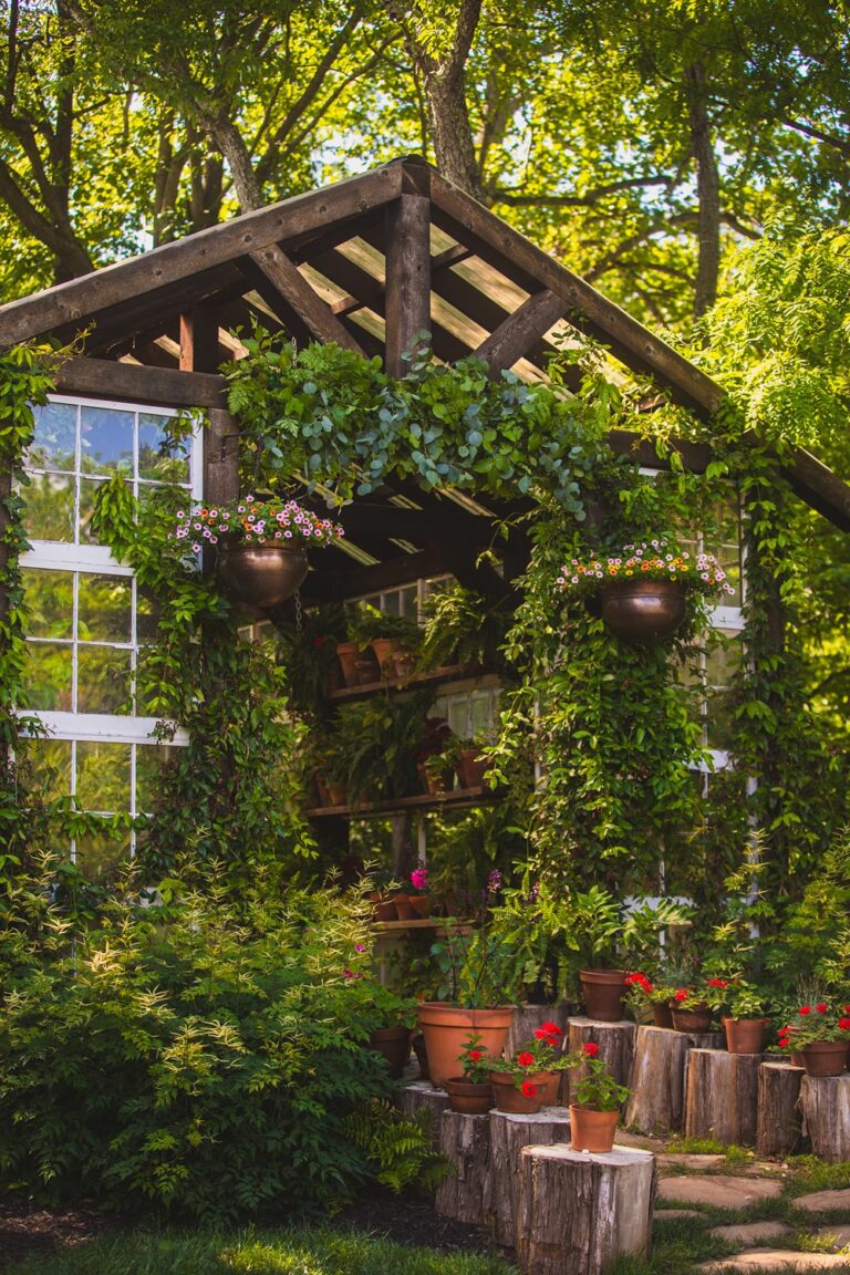 Enchanted Micro Wedding Venue Venues Near Me Virginia Micro